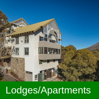 Ski Lodge & Apartment Building Approvals